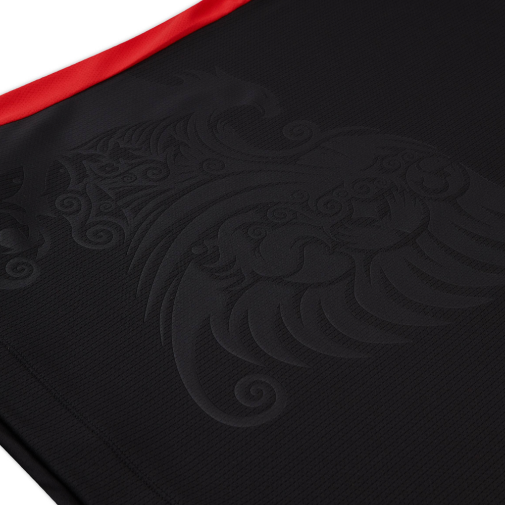 Maillot 2026 Albania Troisième maillot