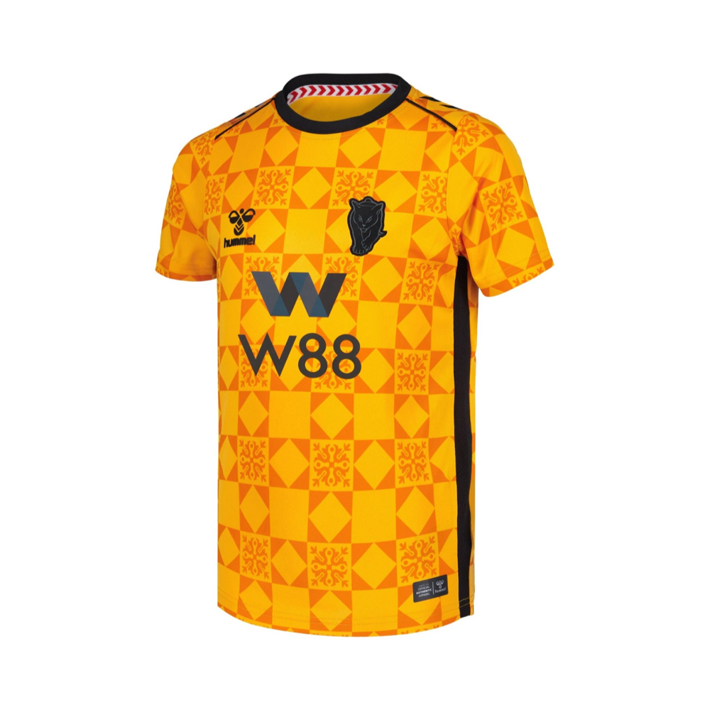 Maillot 2025-26 Sunderland AFC Maillot Gardien