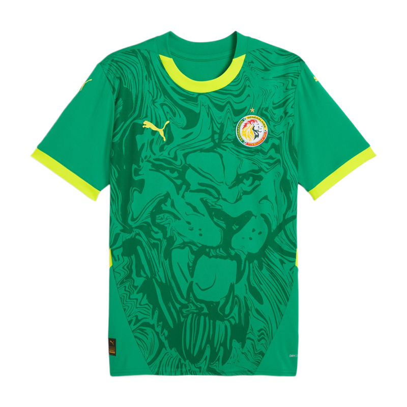 Maillot 2025 Sénégal Extérieur
