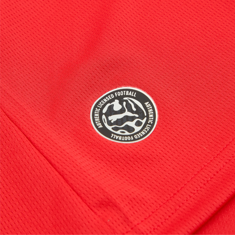 Maillot 2026 Maroc Domicile