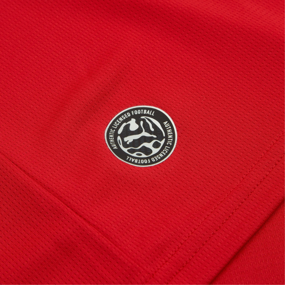 Maillot 2026 République tchèque Domicile
