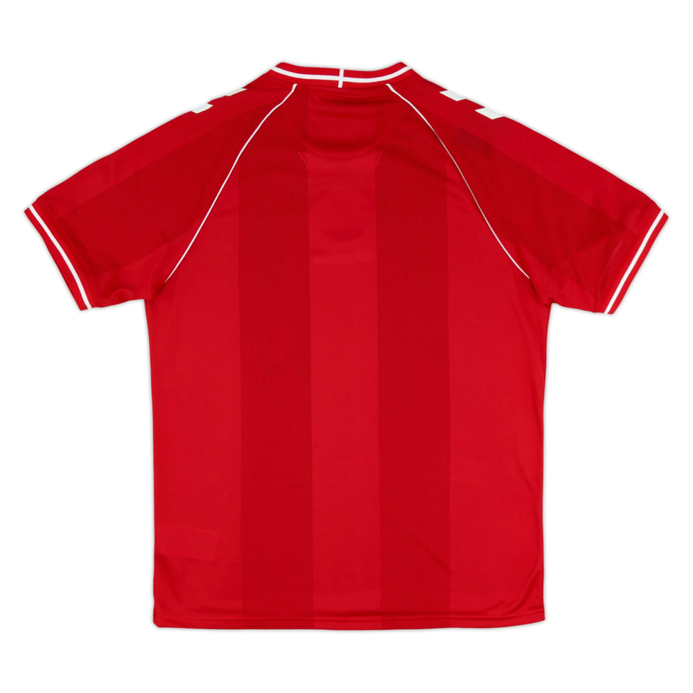 Maillot 2026 Danemark Domicile