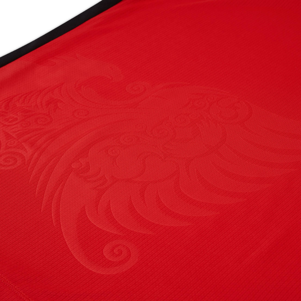 Maillot 2026 Albania Domicile