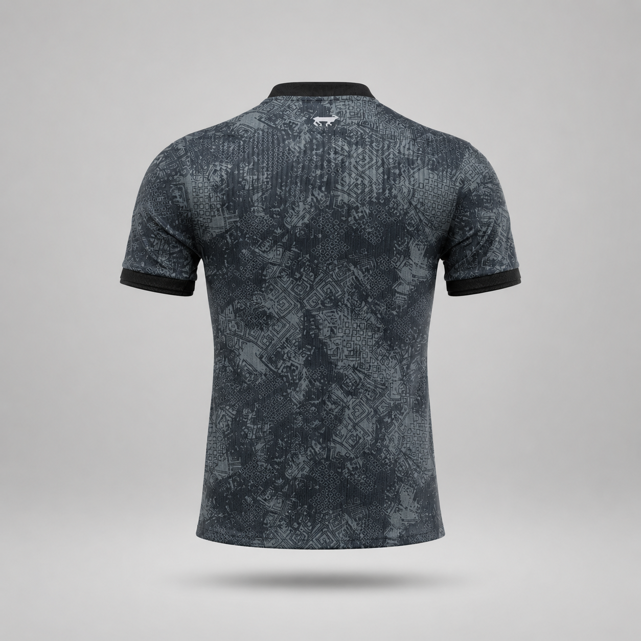 Maillot Player 24/25 Argentine Spécial