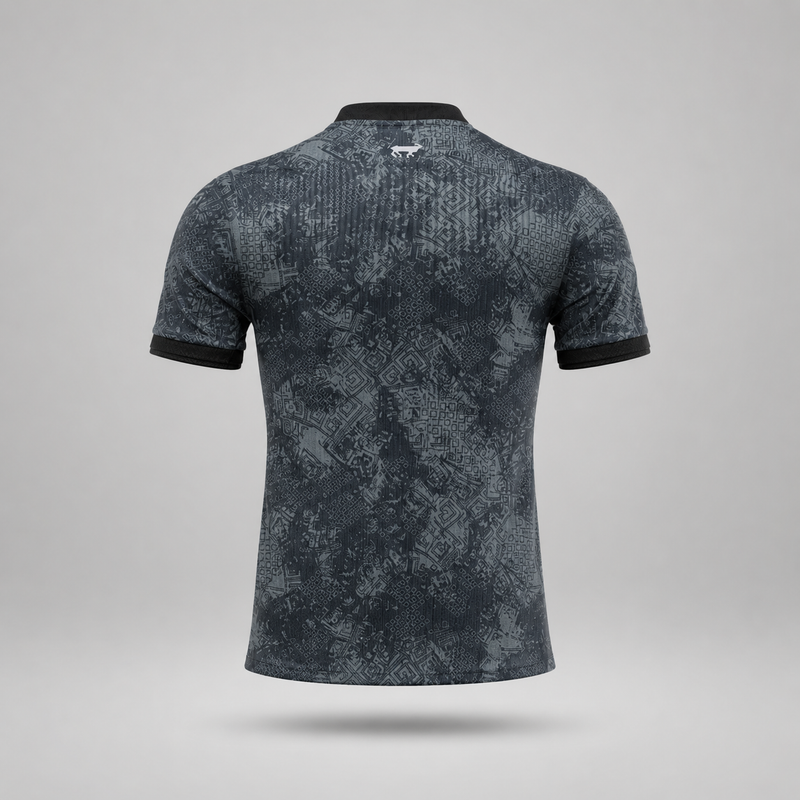 Maillot Player 24/25 Argentine Spécial
