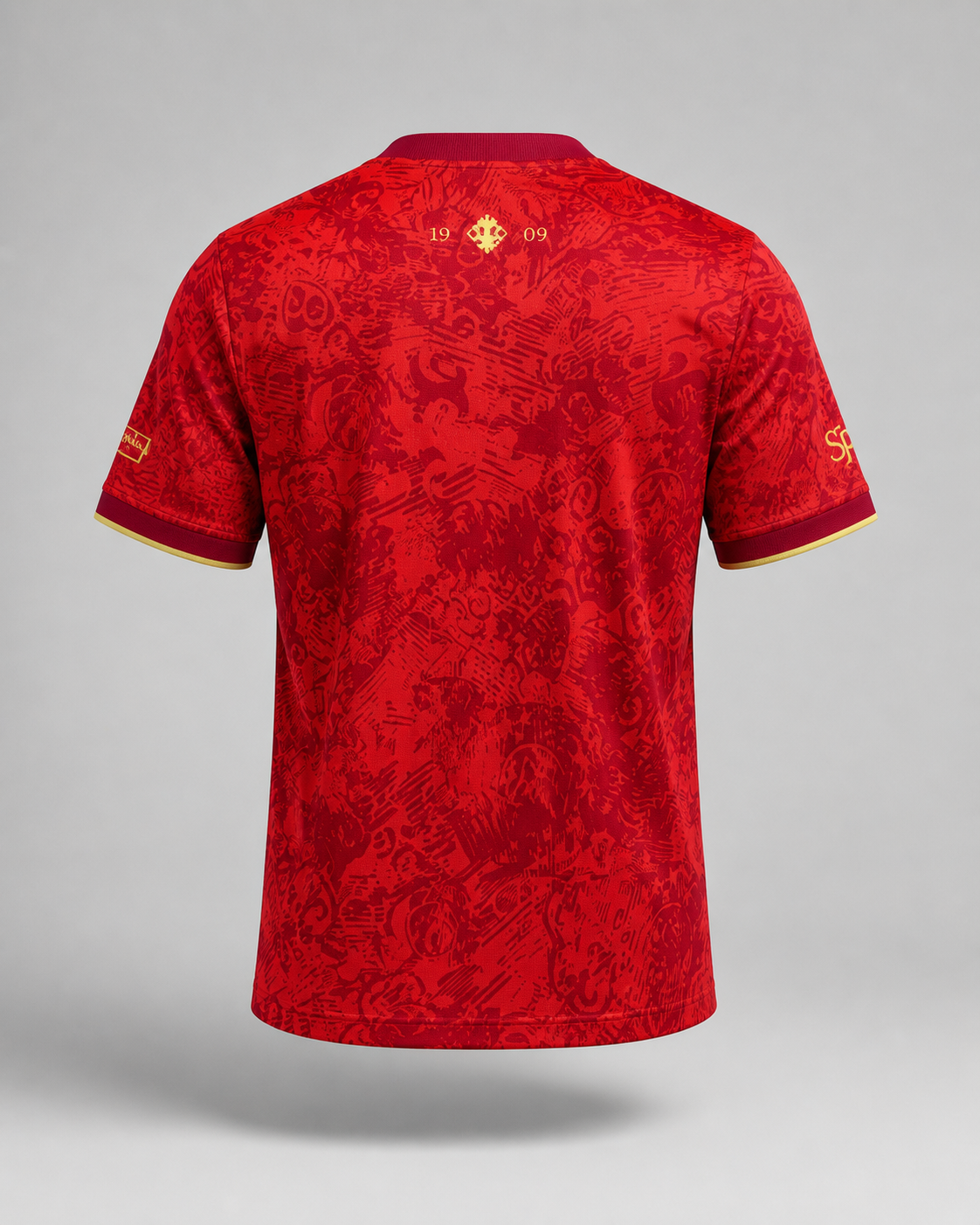 Maillot 24/25 Espagne Spécial