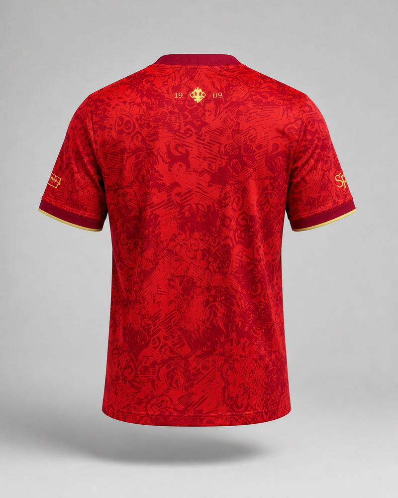 Maillot 24/25 Espagne Spécial