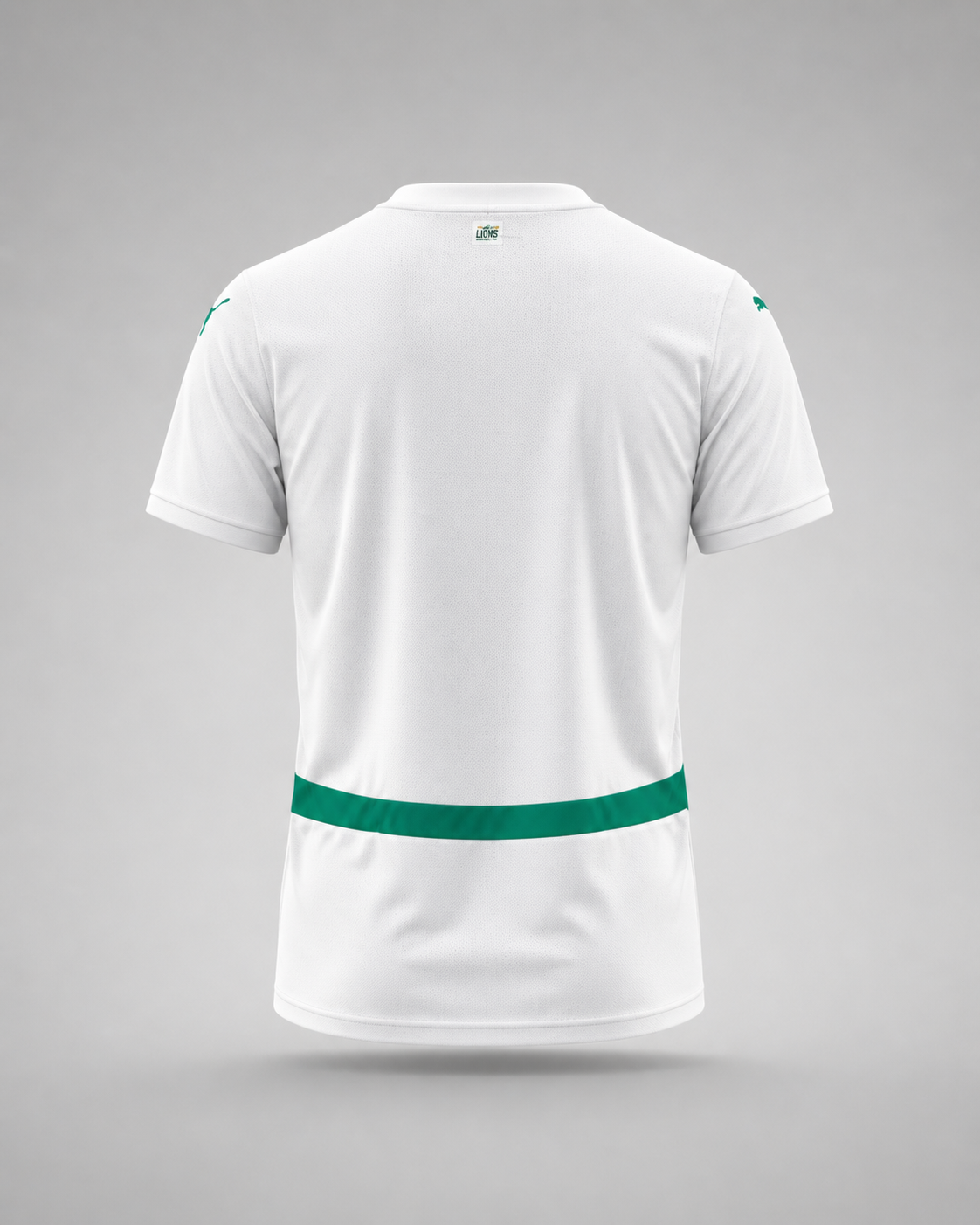 Maillot 24/25 Sénégal Spécial white