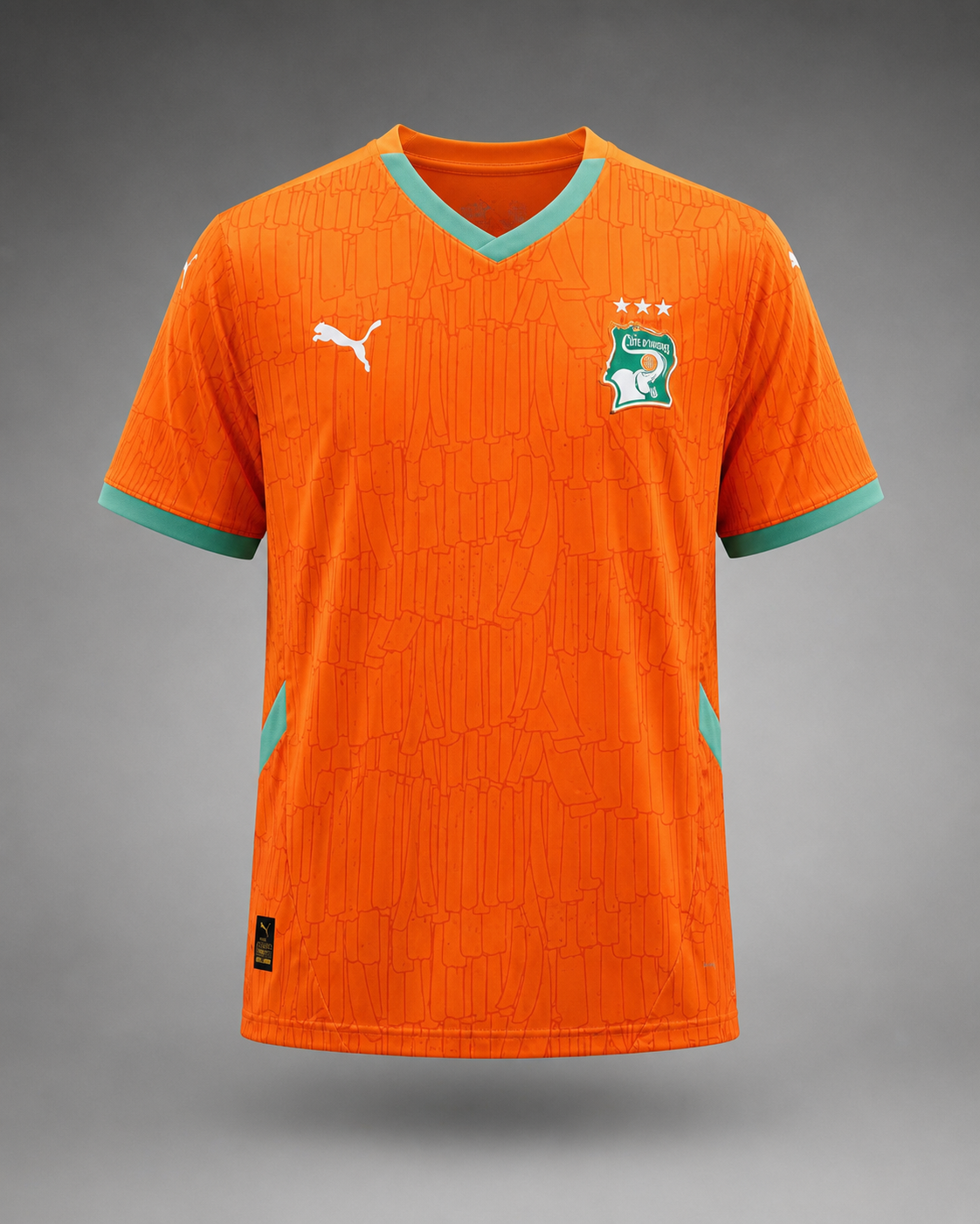Maillot 24/25 Côte d'Ivoire Spécial