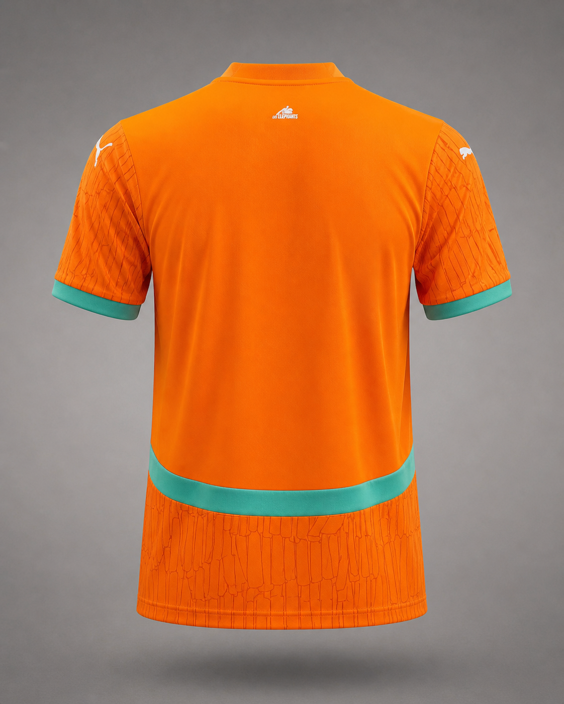 Maillot 24/25 Côte d'Ivoire Spécial